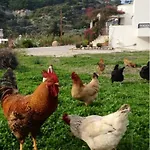 Peaceful Retreat - With Patio & Views קפלוס