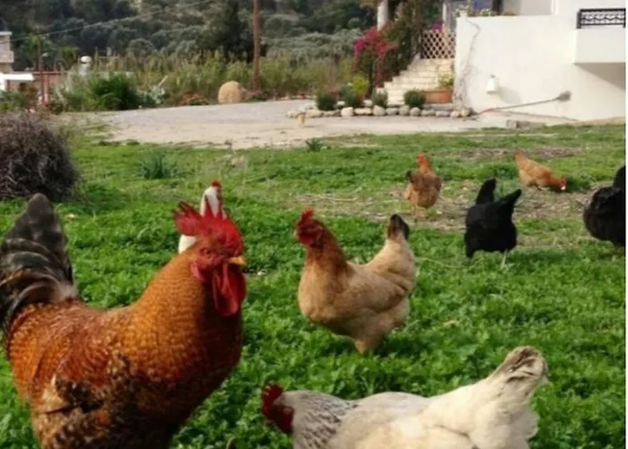 Beautiful Kefalos (Kos)